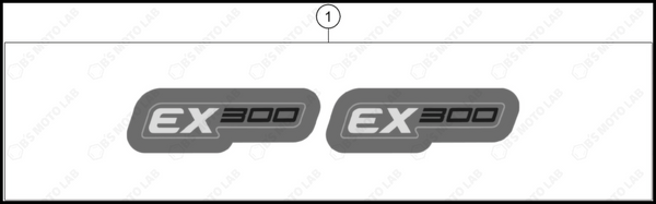 DECAL, 2024 GASGAS EX-300