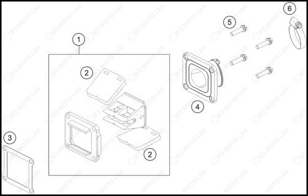 REED VALVE CASE, 2025 GASGAS MC-85-19-16